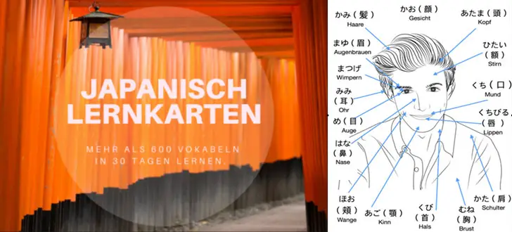 Japanisch Lernkarten 600 Vokabeln